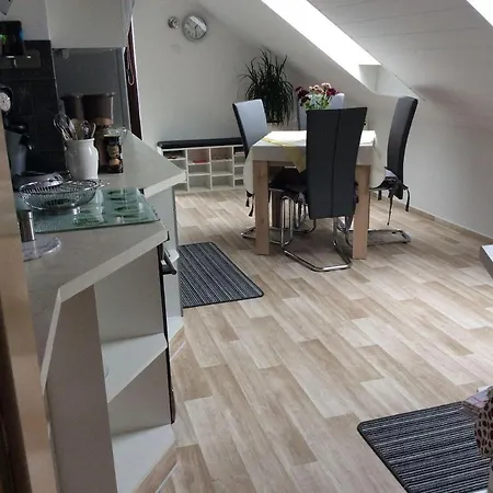 Haus-irena Longkamp